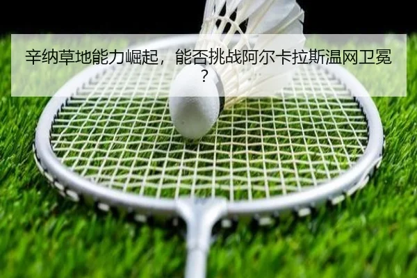 辛纳草地能力崛起，能否挑战阿尔卡拉斯温网卫冕？